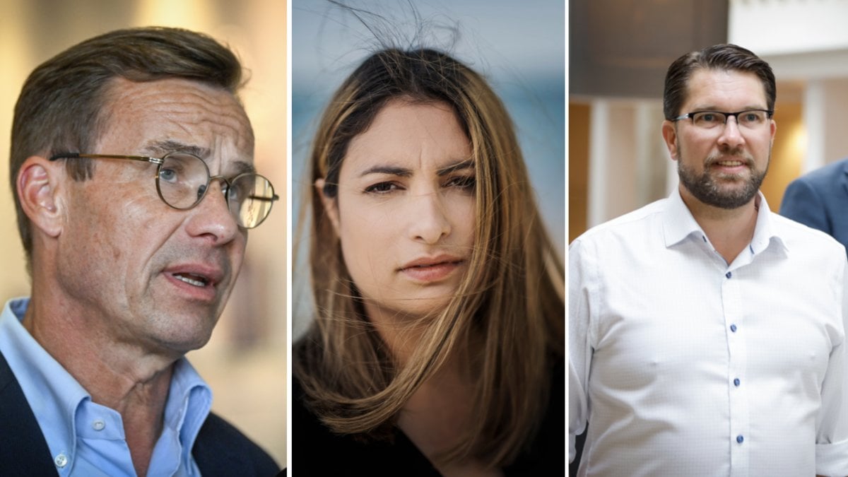 Vad tycker riksdagspartierna i frågan om invandring? Nyheter24 sammanfattar frågan, parti för parti
