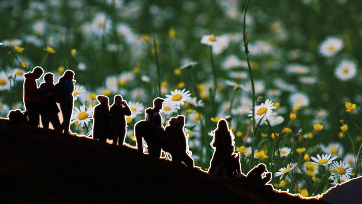 Här är midsommar-quizet som alla måste köra på midsommar