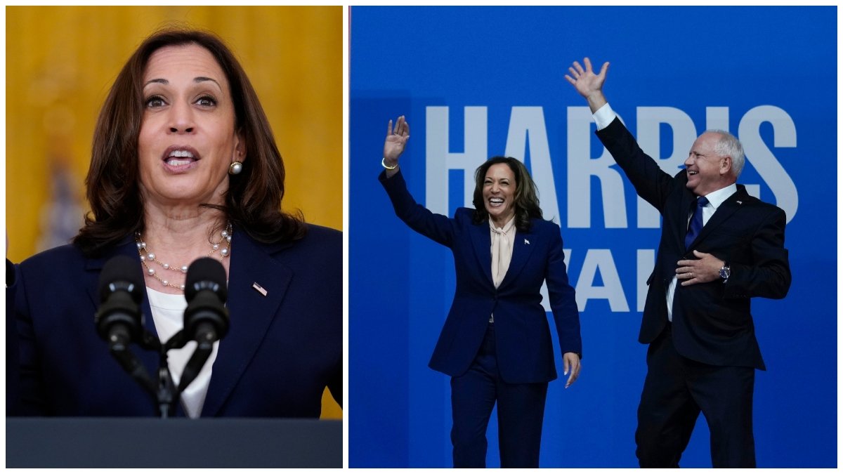 Vad står Demokraterna för i USA-valet 2024?