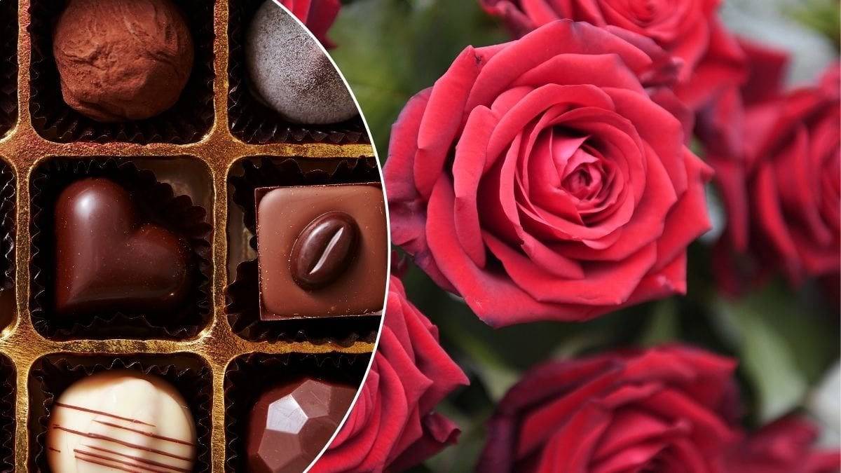 Bilder på rosor och praliner.