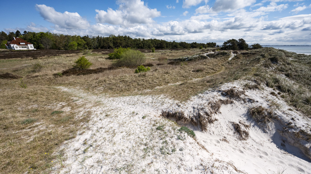 Mänskliga skelettdelar har hittats på strand i Skanör. 