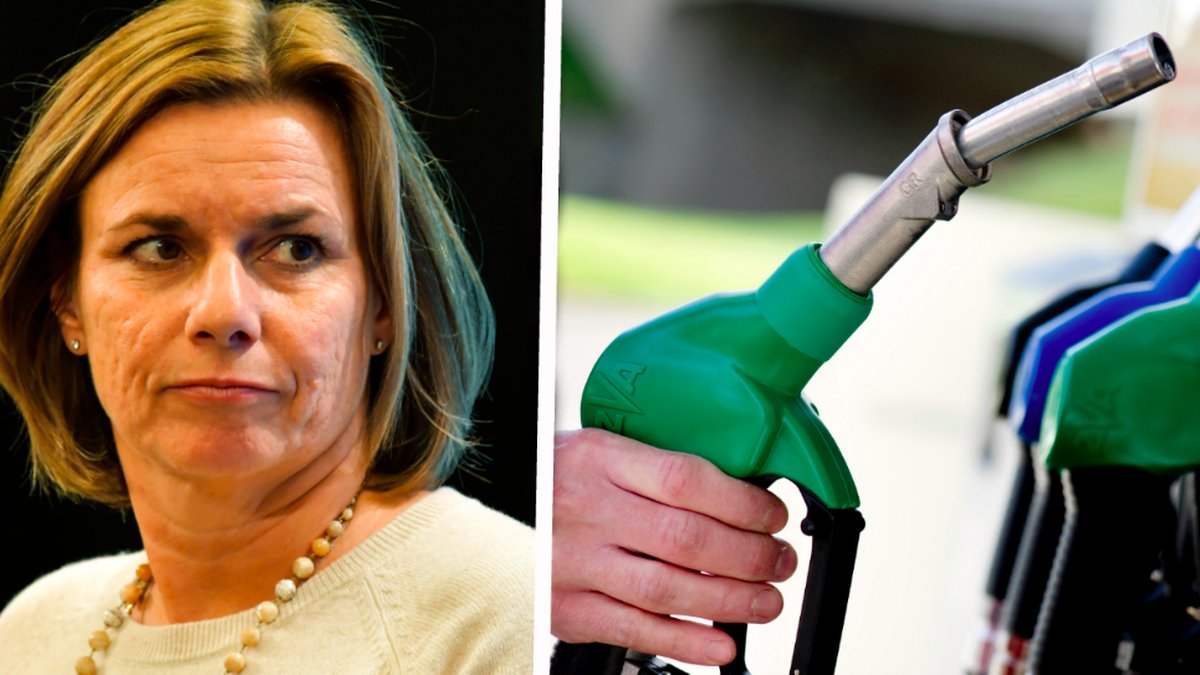 Isabella Lövin och en bensinpump. Kollage. 