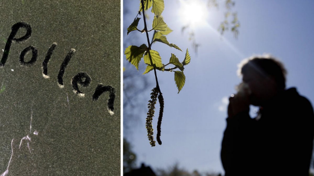 Pollen
