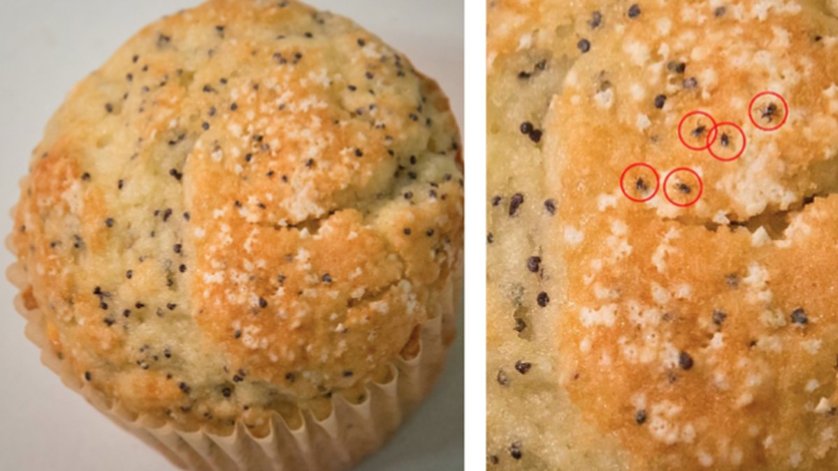 Myndigheten-for.sjukdomshantering-i-USA-delar-bild-pa-muffins-med-fastingar 