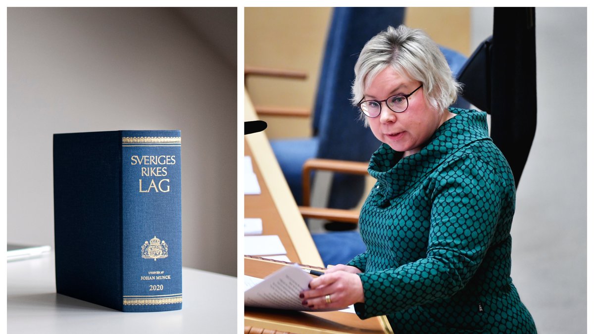 Centerpartiet vill grundlagskydda demokratin.