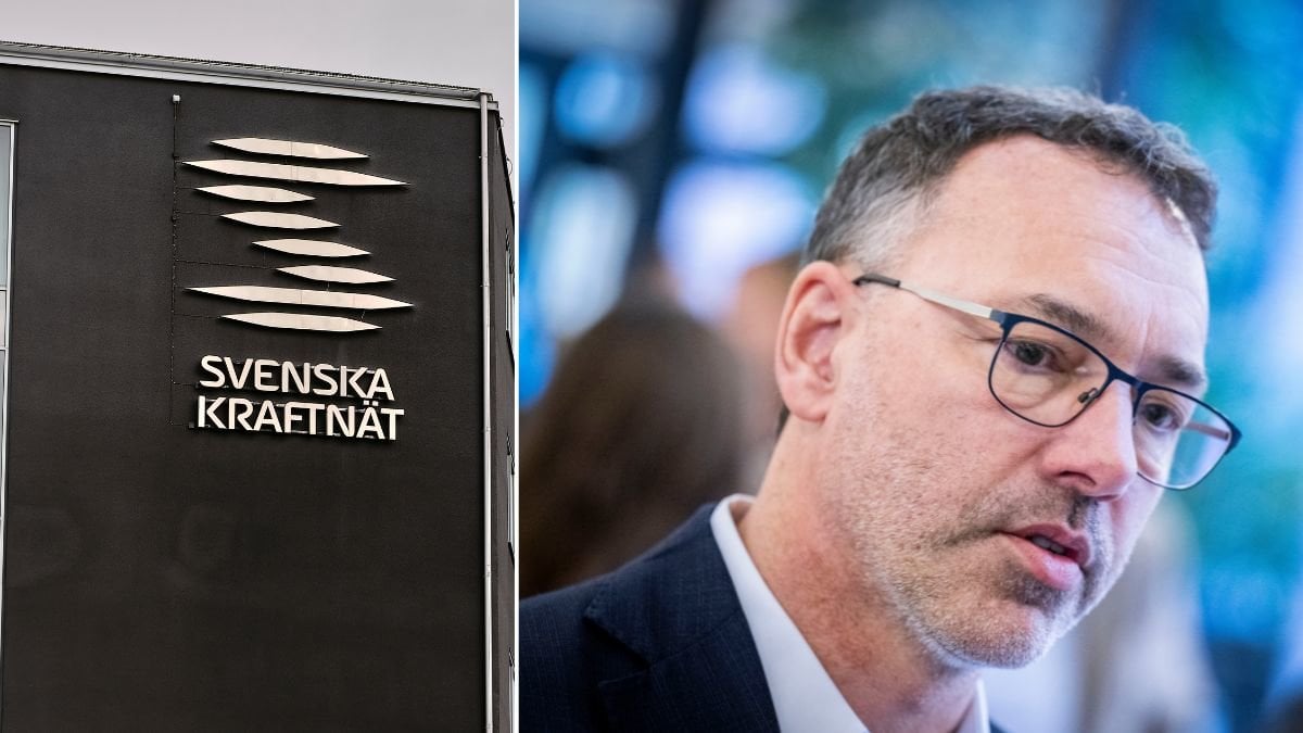 Generaldirektör Per Eckemark