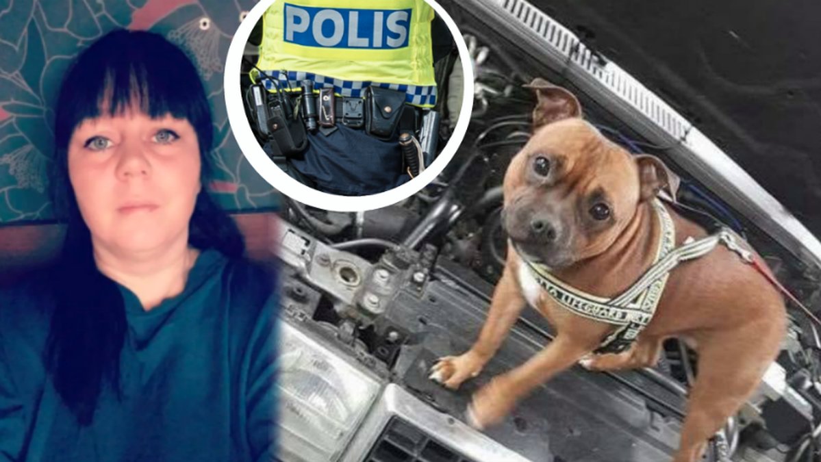 Cleo har varit borta i snart en vecka.