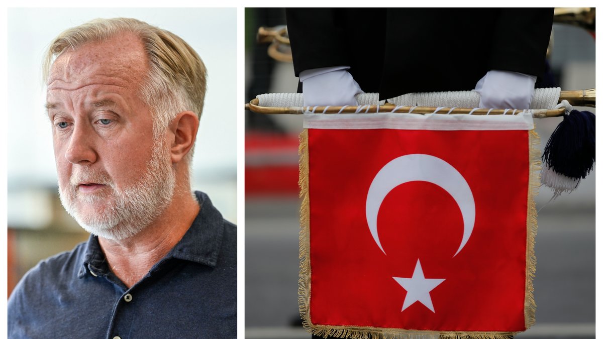 Johan Pehrson (L) kommenterade ett eventuellt vapenembargo mot Turkiet.