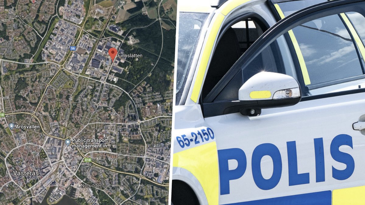Djurplågeri
