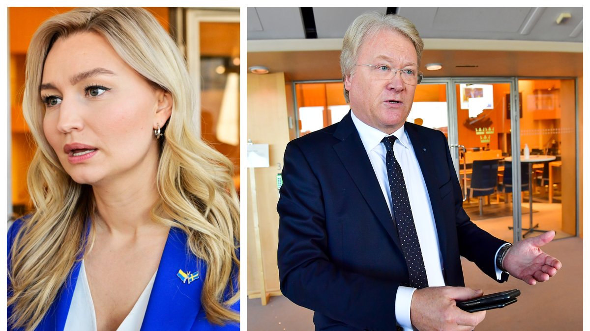 Lars Adaktusson lämnar sitt uppdrag som utrikespolitisk talesperson i Kristdemokraterna.