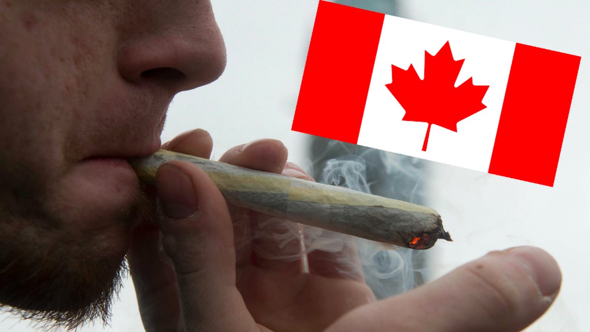 Cannabis