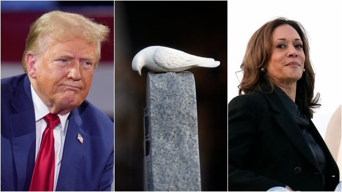 Vad händer egentligen om en presidentkandidat dör? Det visar sig att det är mer komplext än man kanske trott.