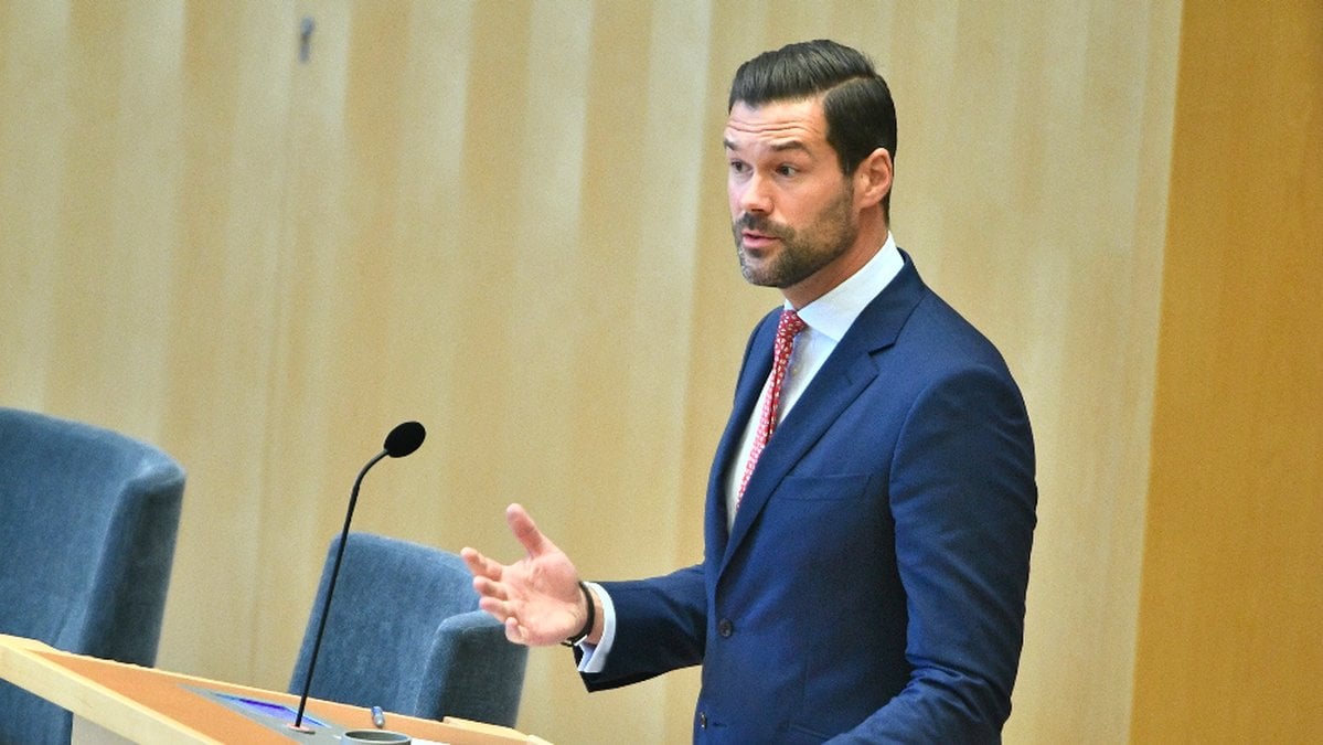 Moderaternas migrationspolitiske talesperson Johan Forssell