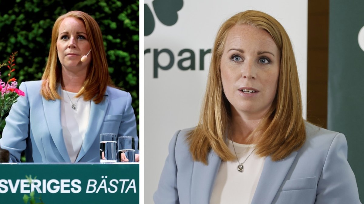 Annie Lööf har tilldelats ett målsägandebiträde av Gotlands tingsrätt.