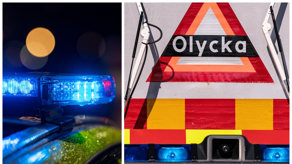 En person har klämts mellan ett lok och en timmerbil.
