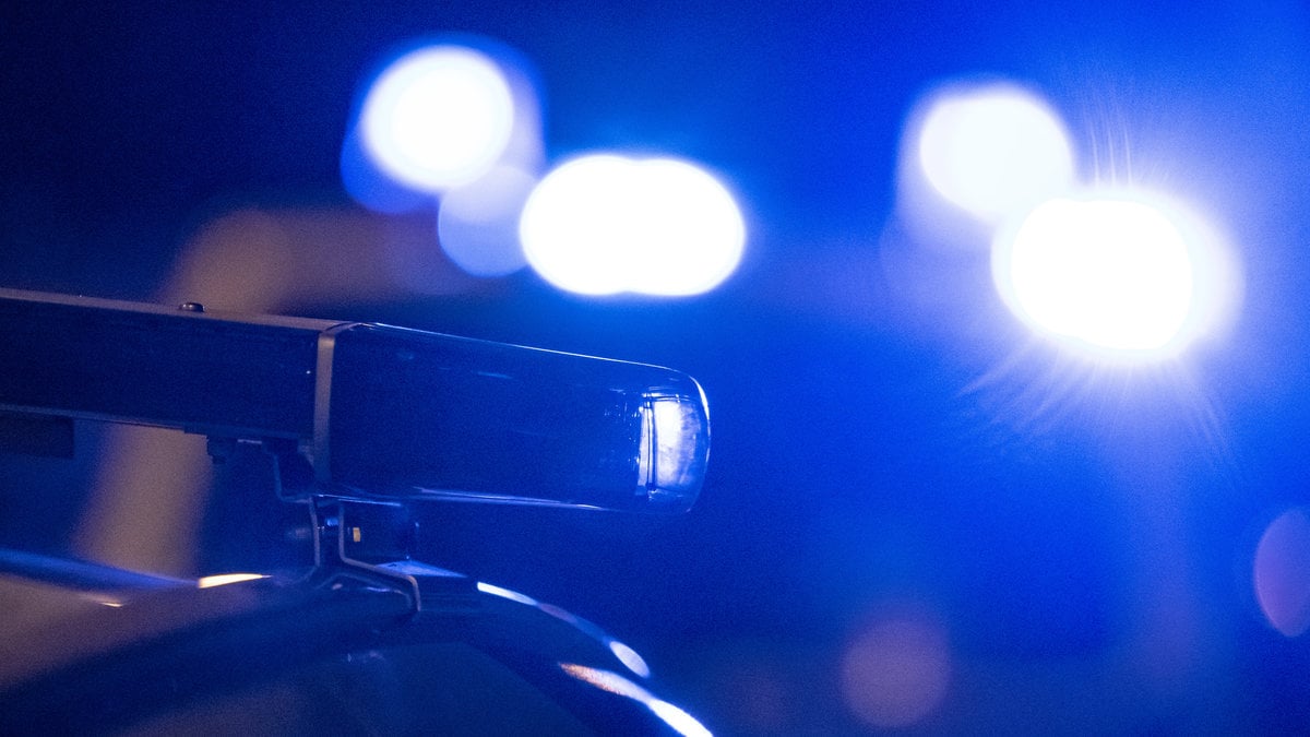 Åklagaren yrkar på 15 års fängelse för kannibalen.