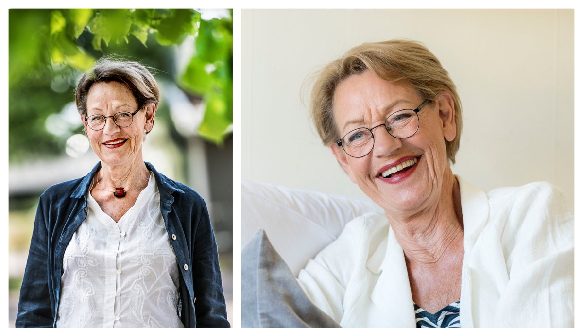 Hur mycket pengar tjänar politikern Gudrun Schyman?