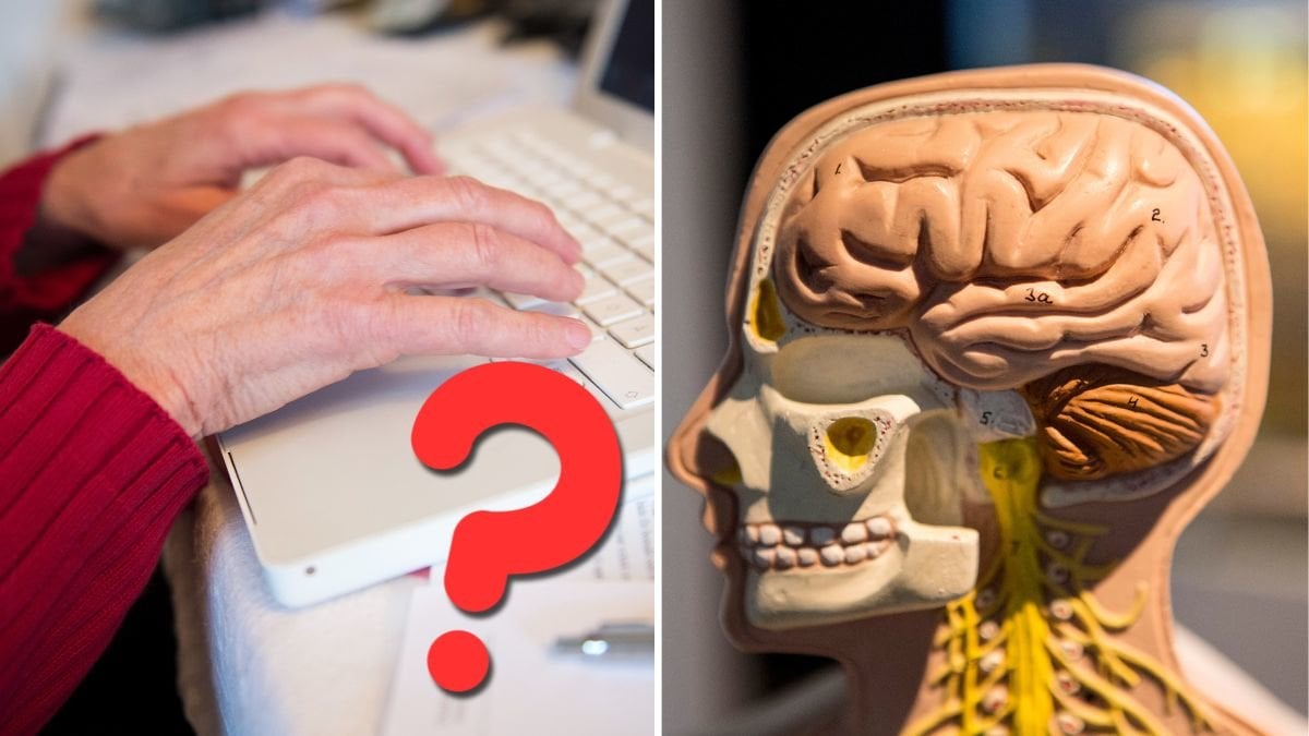 Äldre händer vid dator till vänster. Ett rött frågemärke över bilden. Bild på en fakehjärna till höger. 