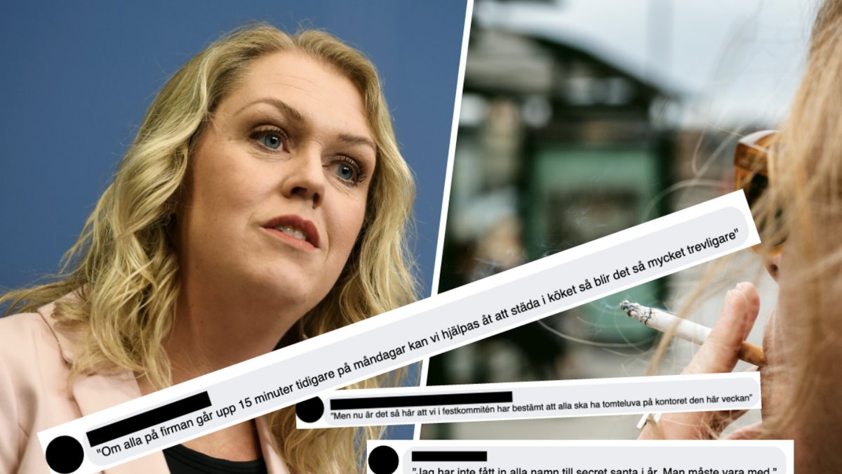 Lena Hallengren tokhånas på nätet