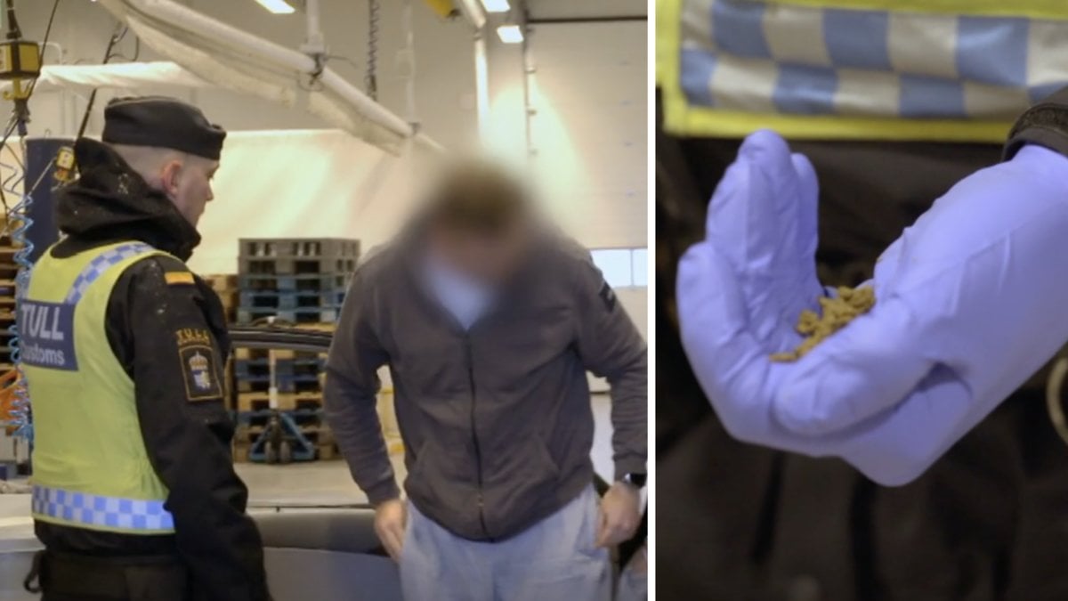 Tullen stoppar ett sällskap vid Öresundsbron i Gränsbevakarna Sverige