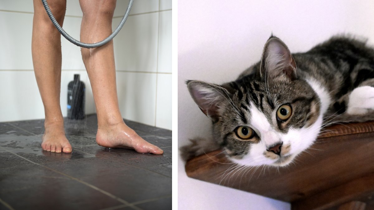 En igentäppt golvbrunn orsakade översvämning.