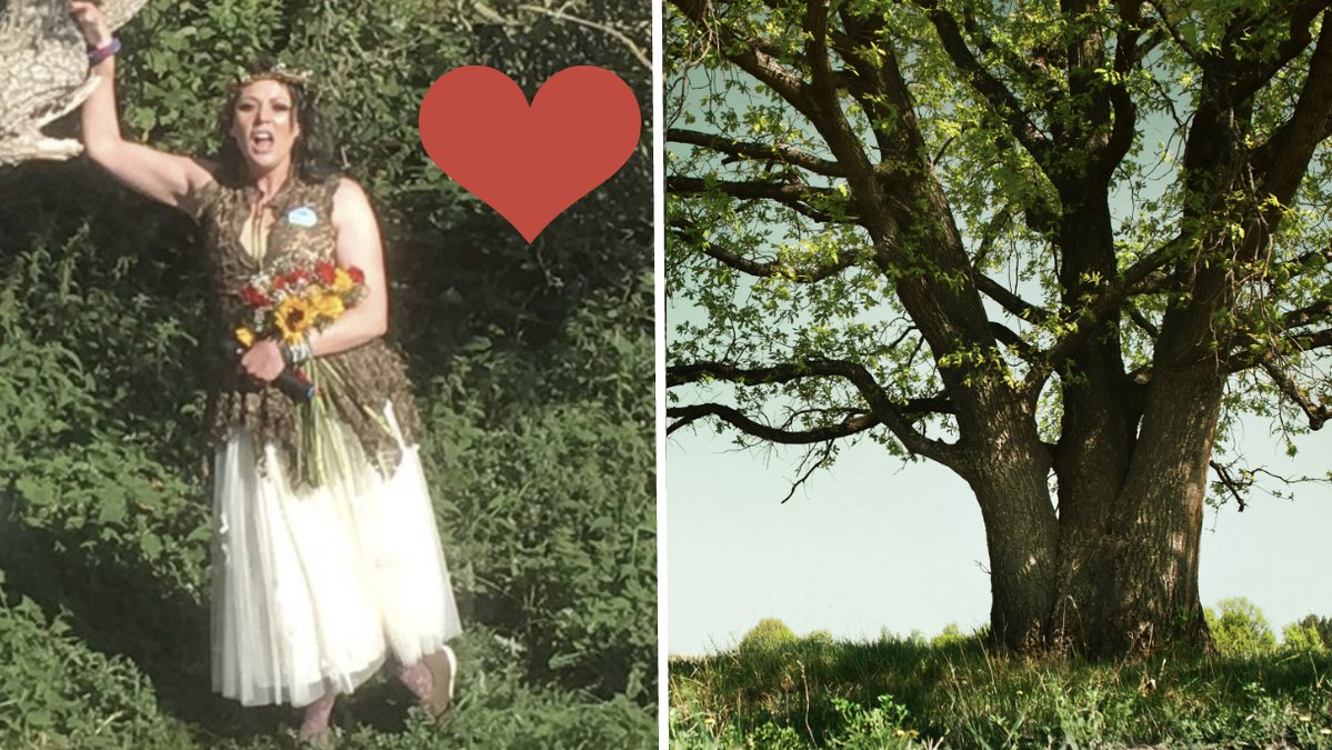 Gifter sig med träd, miljö