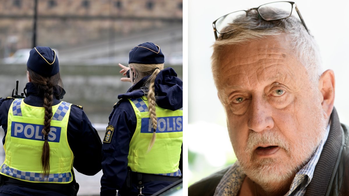 Leif GW Persson är starkt kritisk mot polisutbildningen.