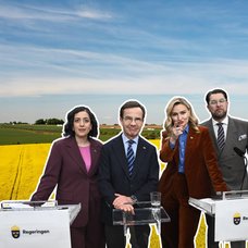 Svenska regeringen och svensk flaga