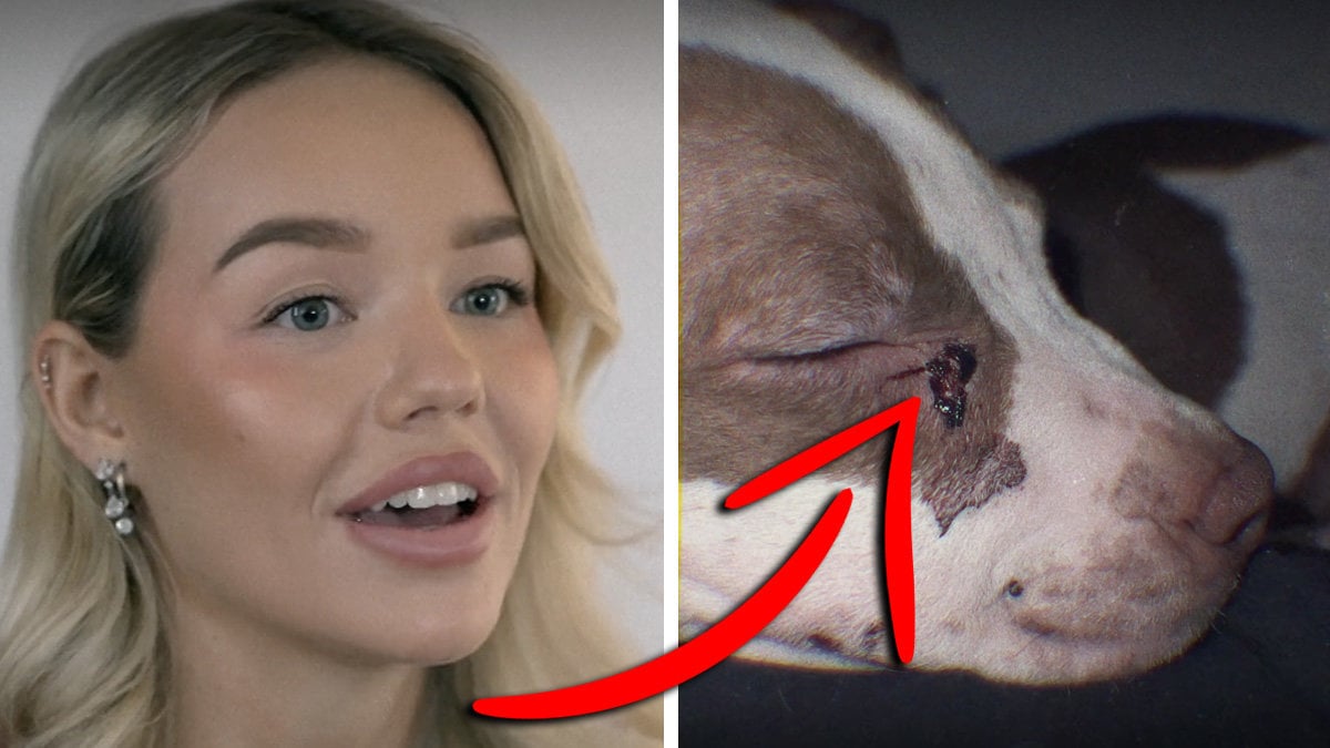 Linnea Lundströms familj har levt under hot.