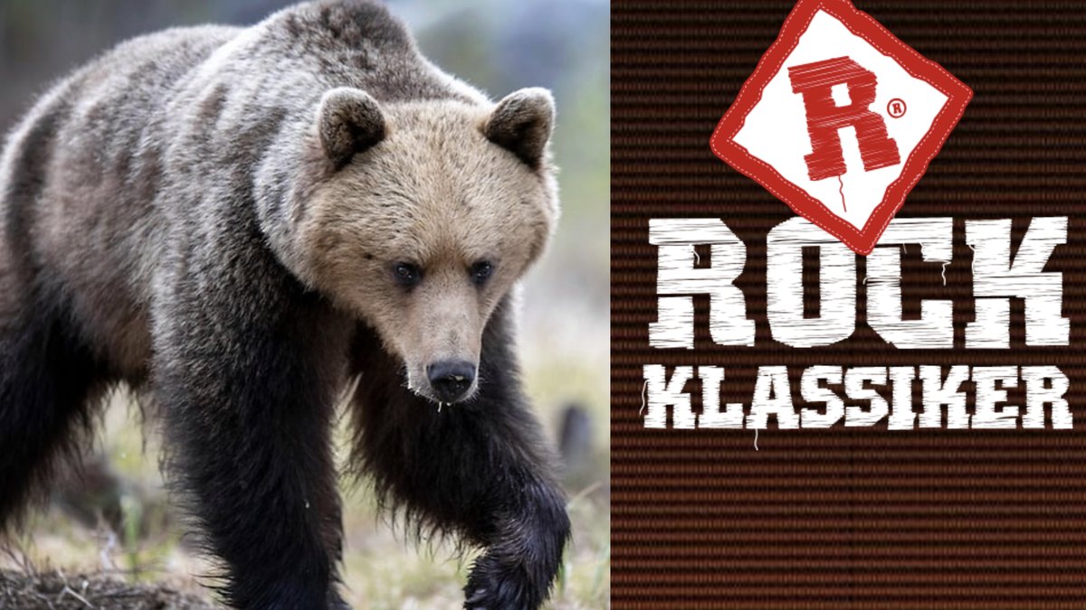Rdaioprofil bjrönattack