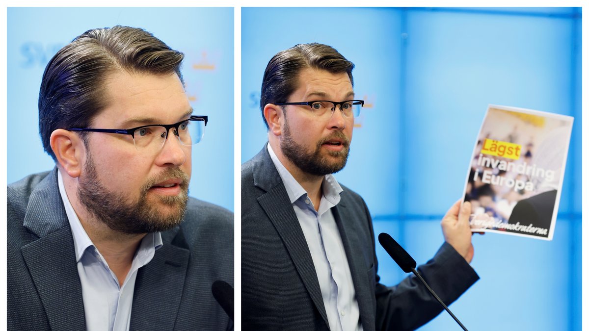 Sverigedemokraterna vill skärpa asylreglerna på 30 punkter.