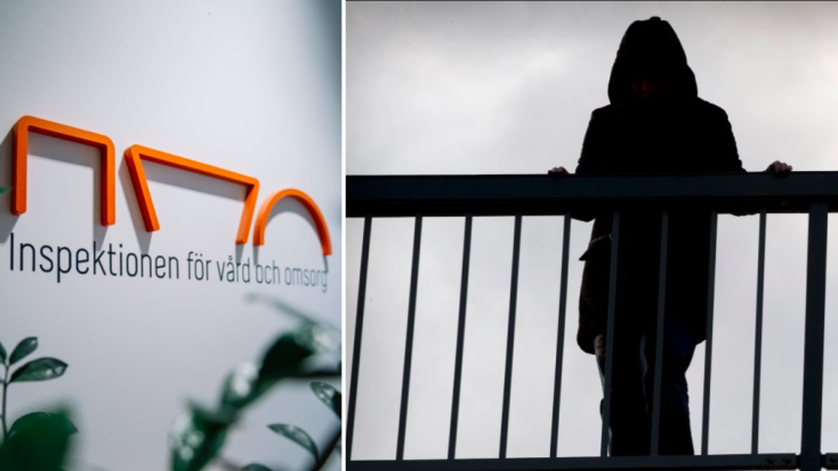 Inspektionen för vård och omsorg