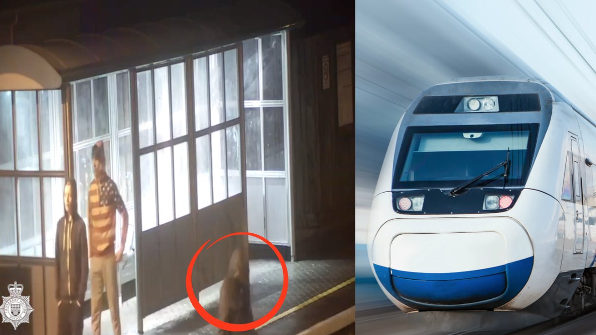 Se-pojkens-livsfarliga-taglek