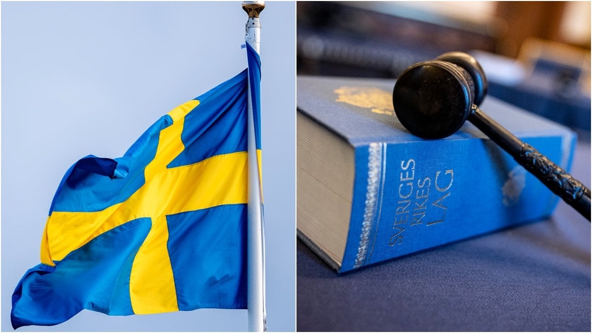 Den 1 januari 2025 börjar en ny lag att gälla i Sverige.