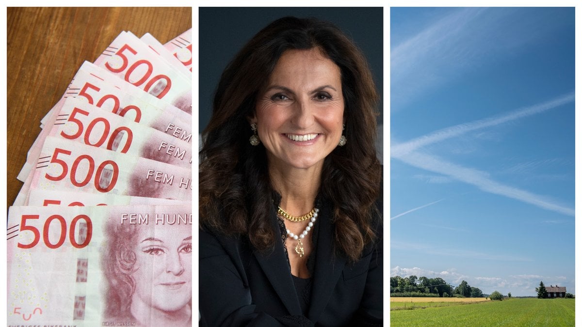Gunilla von Platen har köpt Näsby Säteri för 175 miljoner kronor.