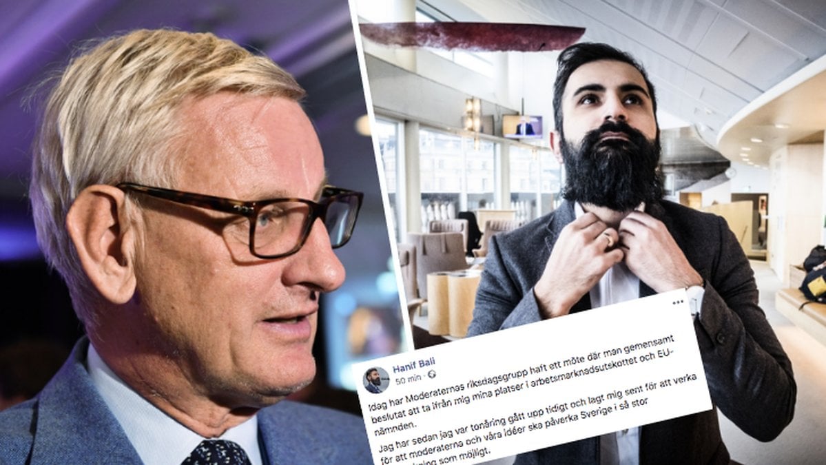 Hanif Bali, Carl Bildt 