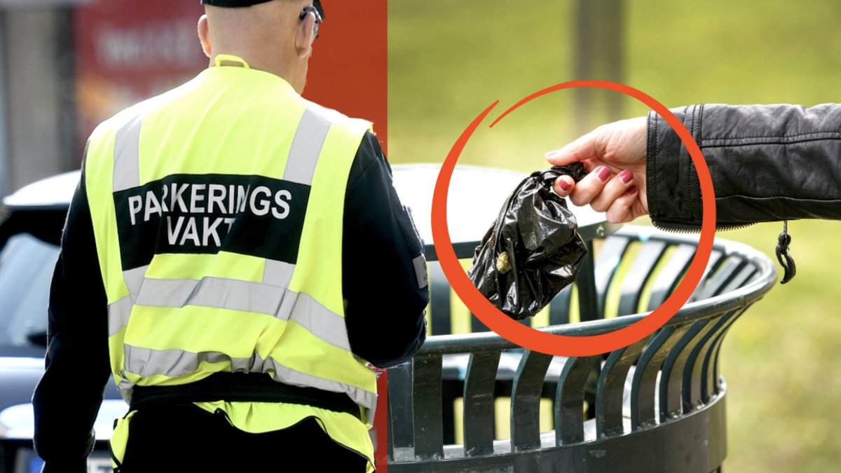 Malmöpolitiker föreslår att P-vakter ska få bötfälla nedskräpare. 