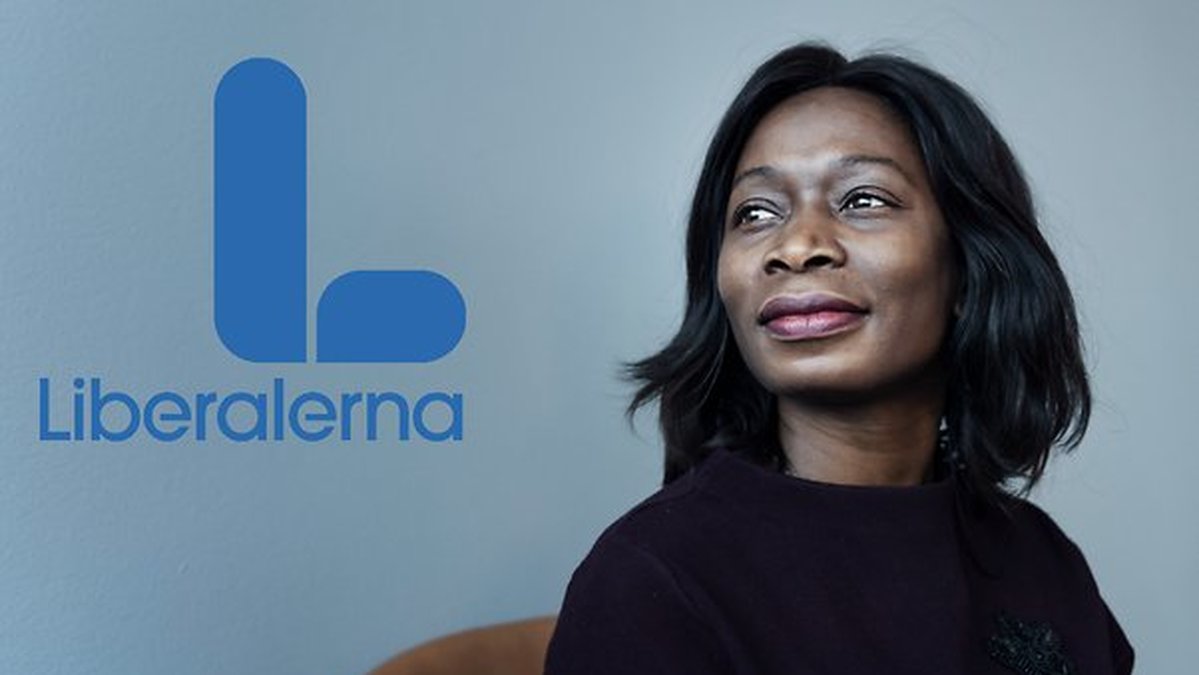 Liberalerna vill göra en storsatsning för att rusta upp förorterna.