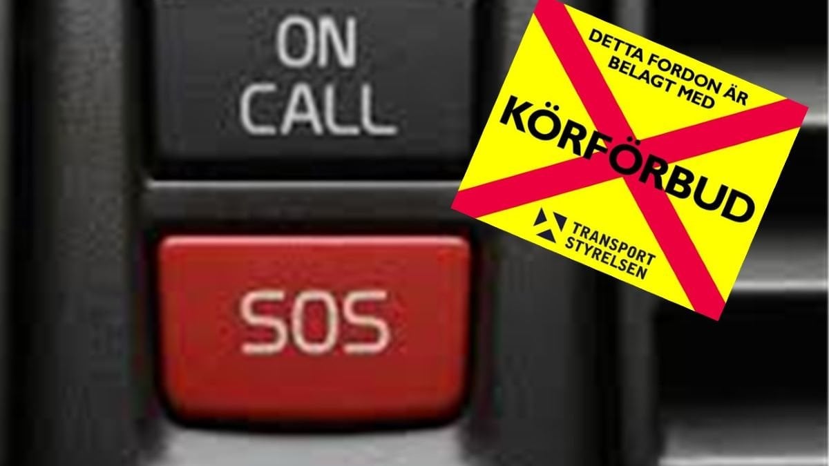 Korforbud