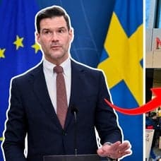 Johan Forssell och migrationsverket