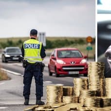 Trafikkontroll och hund.