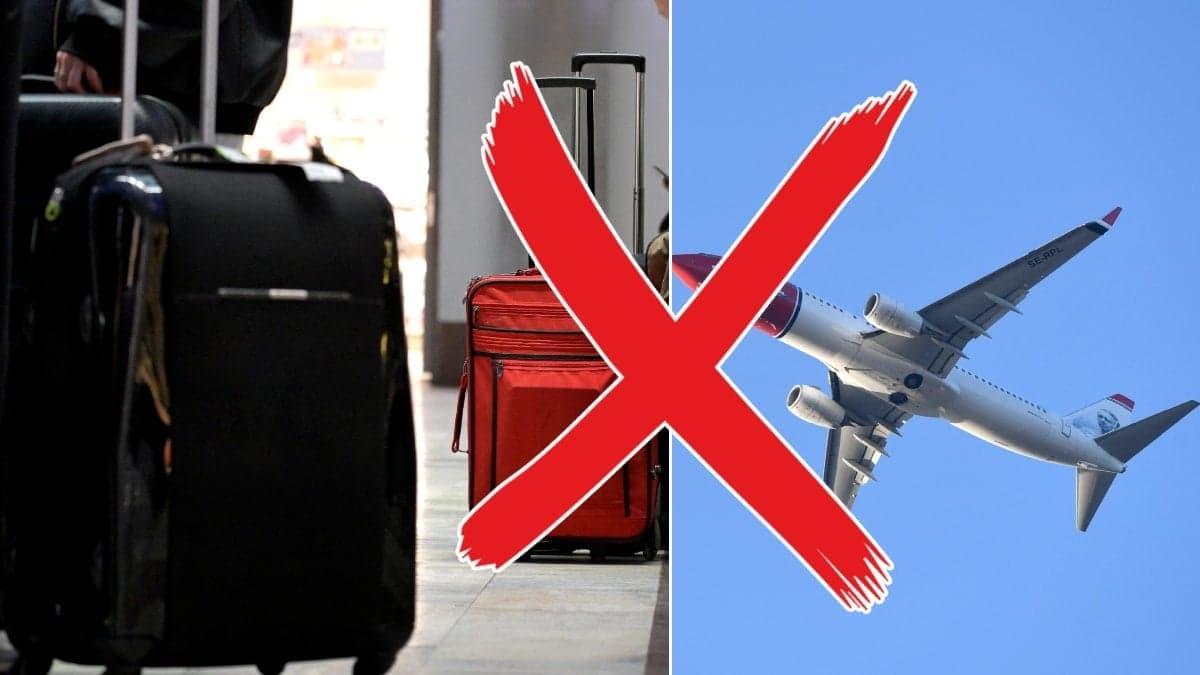 Bild på resväskor och ett flygplan.