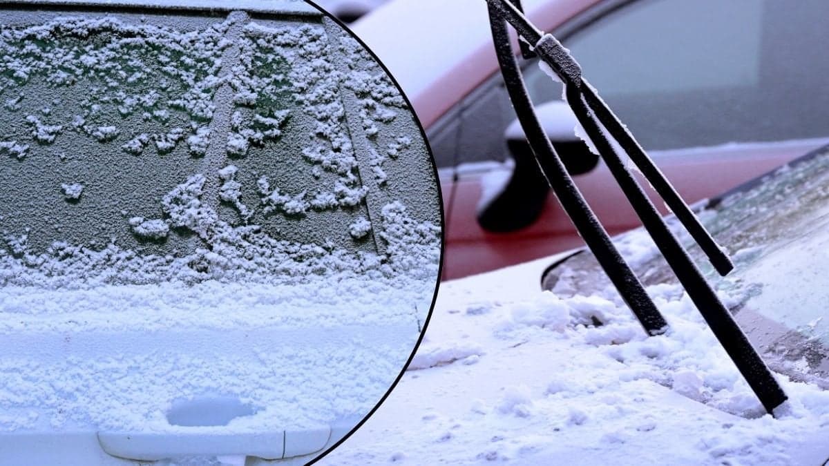 Bilrutor på vintern.