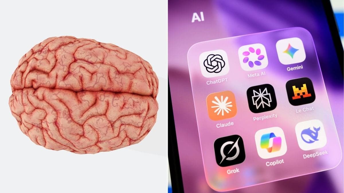 Skadar AI våra hjärnor?