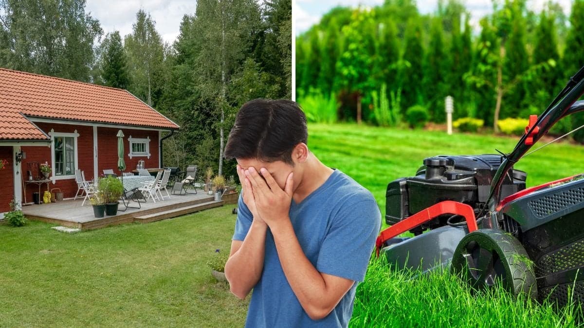Skäms du över din gräsmatta? Då är du inte ensam.