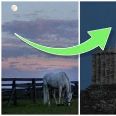 Häst ute i naturen med en måne i himlen och en jordgubbsmåne