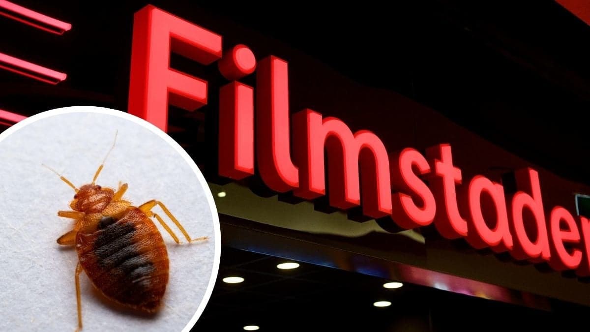 Vägglus och Filmstadens logga