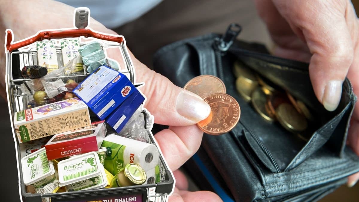 Kundvagn med matvaror och en plånbok med mynt.