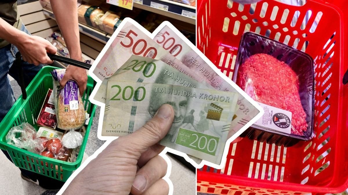 Matvarukorg och pengar.