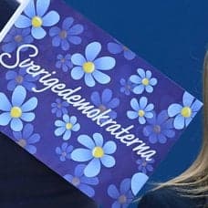 Sverigedemokraternas Katja Nyberg.